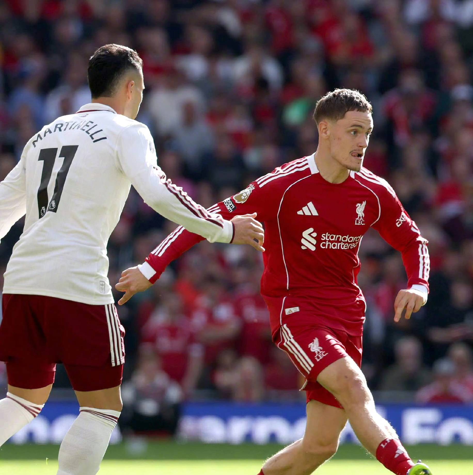 稳定性提出 稳定性提出